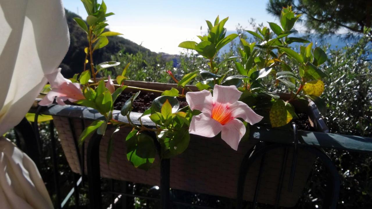 مبيت وإفطار جنوة La Casa Dei Limoni المظهر الخارجي الصورة