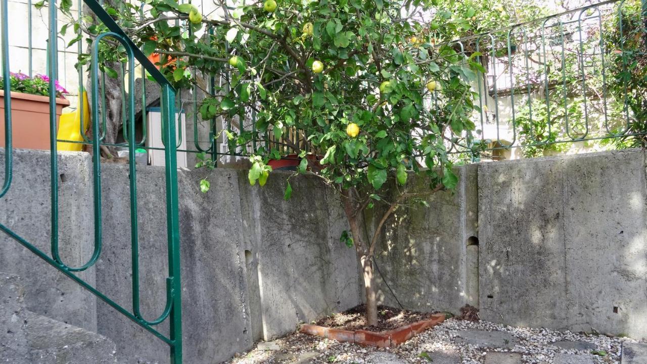 مبيت وإفطار جنوة La Casa Dei Limoni المظهر الخارجي الصورة