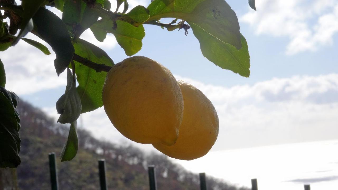 مبيت وإفطار جنوة La Casa Dei Limoni المظهر الخارجي الصورة